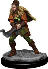 Icons of the Realms Human Ranger
